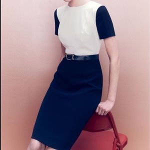 J. Crew Navy and Cream Career Dress